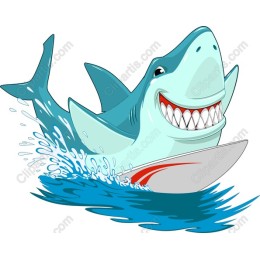 Playful Shark