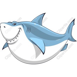 Vibrant Shark