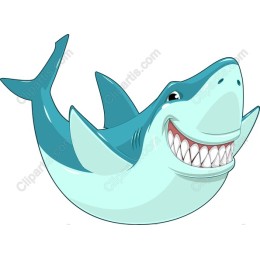 Cheerful Shark
