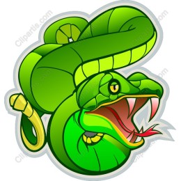 Vibrant Green Snake