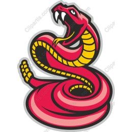 Vibrant Red Snake