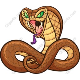 Cobra