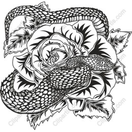 Intricate Snake and Rose