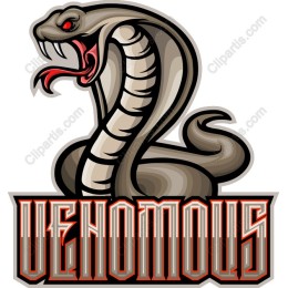 Venomous Cobra