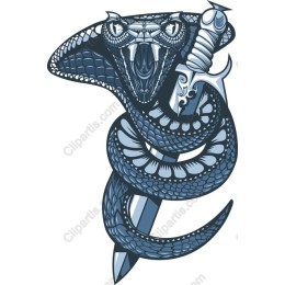Majestic Snake and Dagger