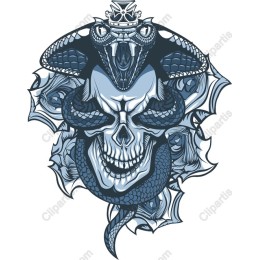 Regal Serpent Skull