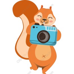 Charming Squirrel with Camera