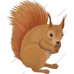Whimsical Squirrel