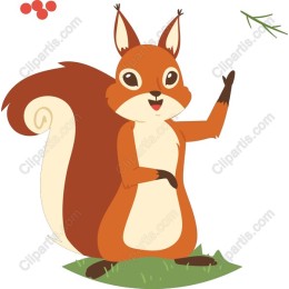 Playful Squirrel