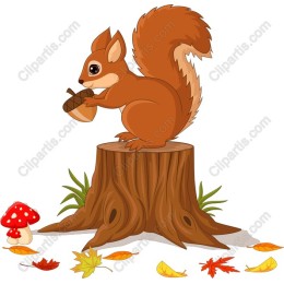 Charming Squirrel