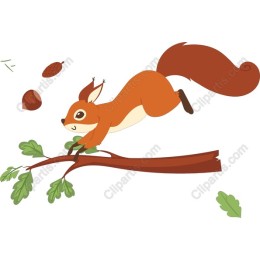 Playful Squirrel