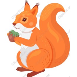 Charming Orange Squirrel