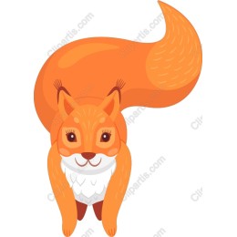 Lively Fox