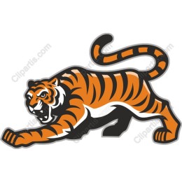 Fierce Tiger
