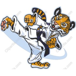 Karate Tiger