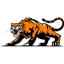 Roaring Tiger