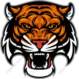 Fierce Tiger Head