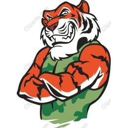 Fierce Muscular Tiger