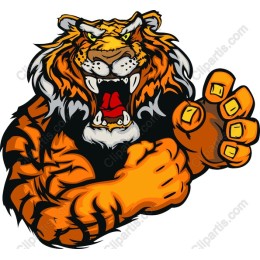 Fierce Roaring Tiger