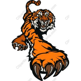 Vivid Roaring Tiger work