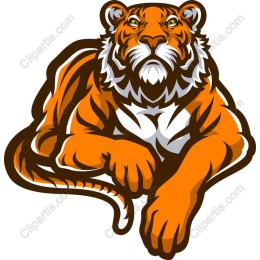 Majestic Tiger