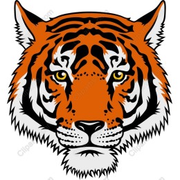 Tiger Head