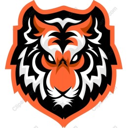 Fierce Tiger Head