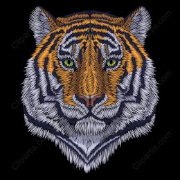 Majestic Tiger Face