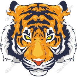 Majestic Tiger Head