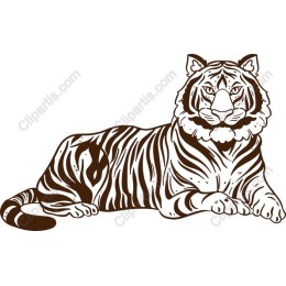 Majestic Tiger