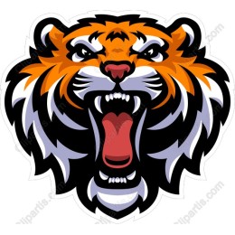 Ferocious Tiger Head