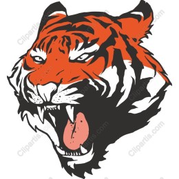 Fierce Roaring Tiger