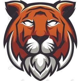 Fierce Tiger Head