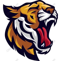 Fierce Roaring Tiger Head