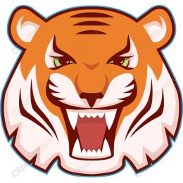 Fierce Tiger Face