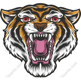 Fierce Roaring Tiger