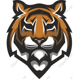 Majestic Tiger Head