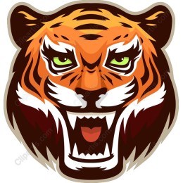 Fierce Tiger Head