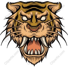 Fierce Tiger Head