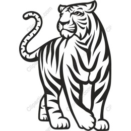 Majestic Tiger