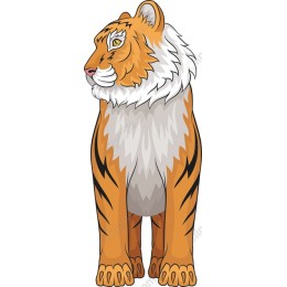 Majestic Tiger
