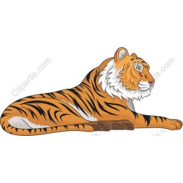 Majestic Tiger