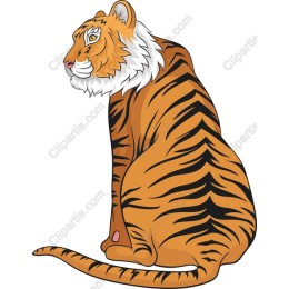 Majestic Tiger