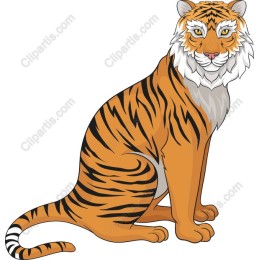 Majestic Tiger