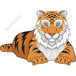 Majestic Tiger