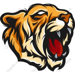 Roaring Tiger Head