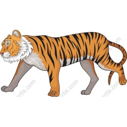 Majestic Tiger
