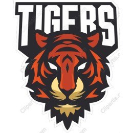 Fierce Tiger Head