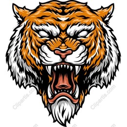 Majestic Roaring Tiger Head