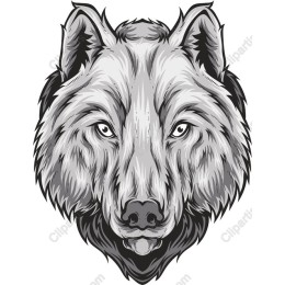 Wolf Head